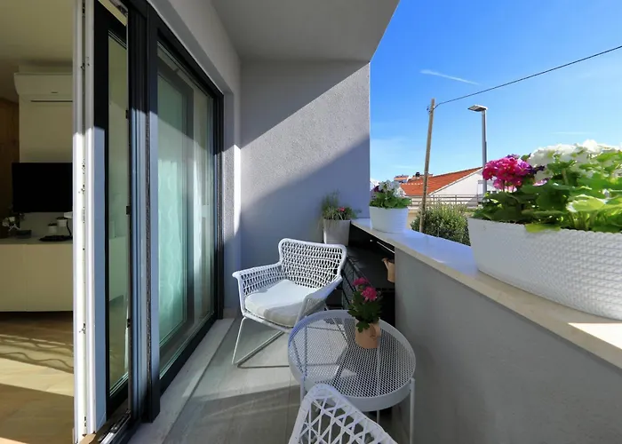 Alegria * זאדאר